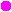 logo attivita